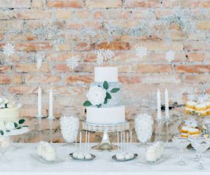 Styled Shoot Love and Ice
