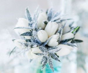 Styled Shoot Love and Ice