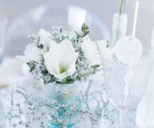 Styled Shoot Love and Ice