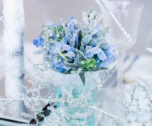 Styled Shoot Love and Ice