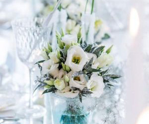 Styled Shoot Love and Ice